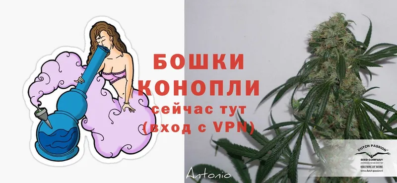 Каннабис SATIVA & INDICA  закладка  hydra как войти  Полтавская 